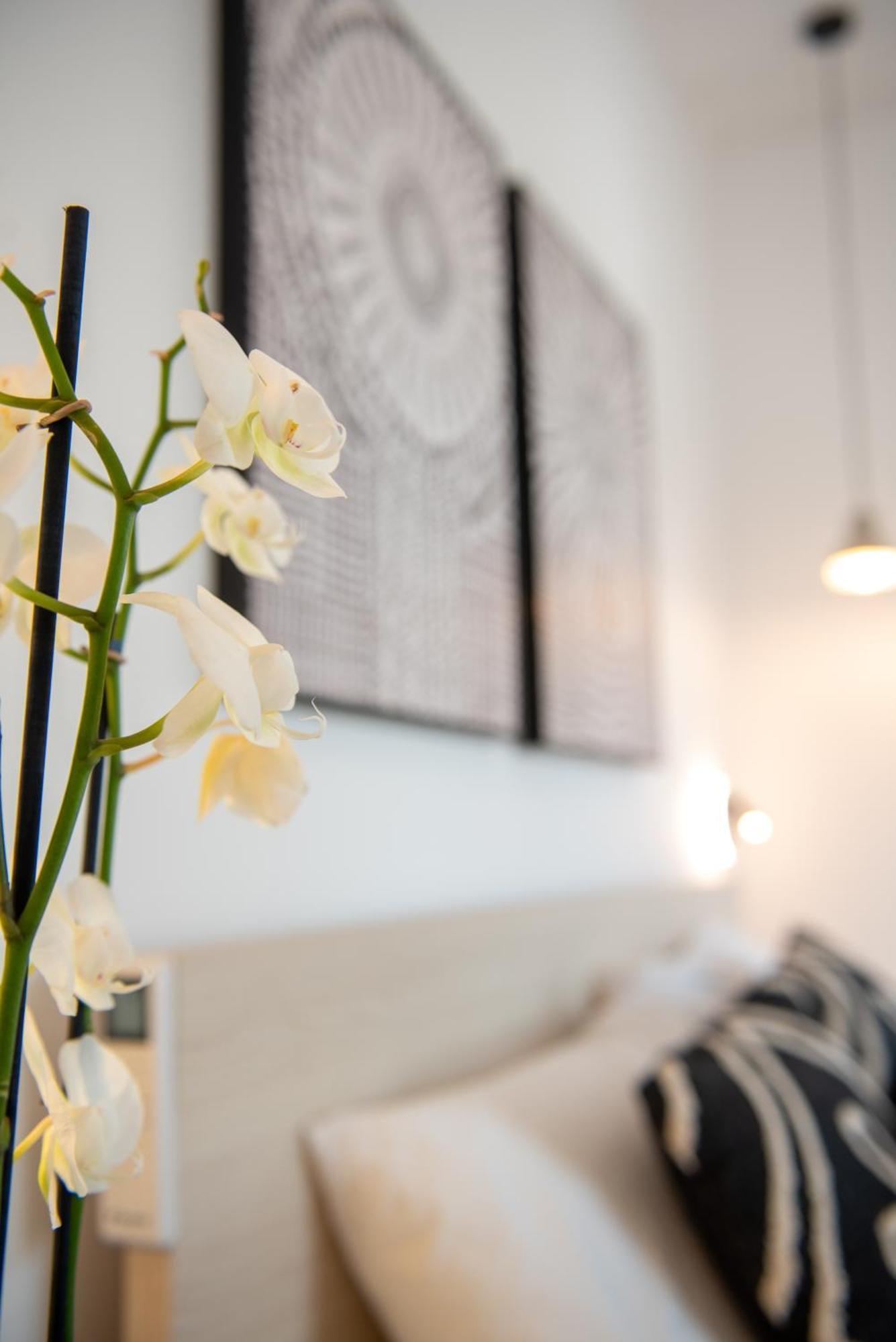 Tiffanys Villas Mykonos Town المظهر الخارجي الصورة